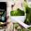 Kylea Health and Total Living Drink Greens